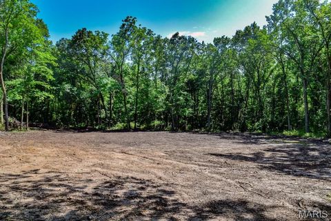 Tiny photo for 0 Truxton Church Rd, Other, MO 63381 (MLS # 25056366)