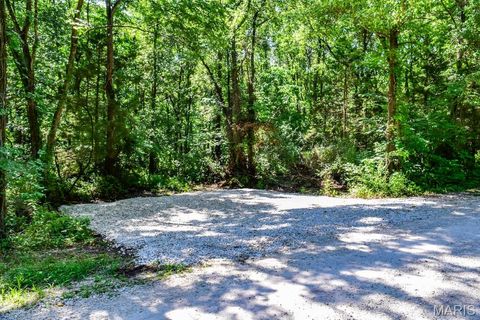 Tiny photo for 0 Truxton Church Rd, Other, MO 63381 (MLS # 25056366)