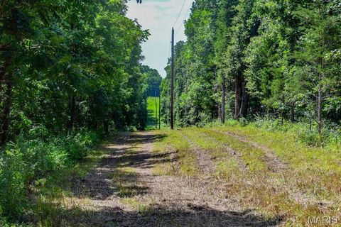 Tiny photo for 0 Truxton Church Rd, Other, MO 63381 (MLS # 25056366)