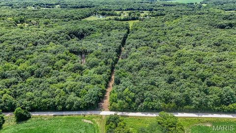 Tiny photo for 0 Truxton Church Rd, Other, MO 63381 (MLS # 25056366)
