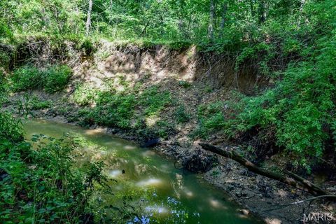Tiny photo for 0 Truxton Church Rd, Other, MO 63381 (MLS # 25056366)