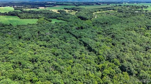 Photo of 0 Truxton Church Rd, Other, MO 63381 (MLS # 25056366)