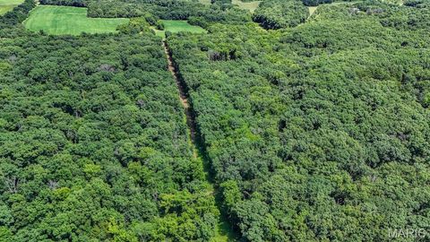 Tiny photo for 0 Truxton Church Rd, Other, MO 63381 (MLS # 25056366)