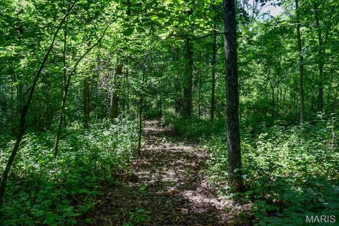 Tiny photo for 0 Truxton Church Rd, Other, MO 63381 (MLS # 25056366)