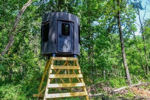 Tiny photo for 0 Truxton Church Rd, Other, MO 63381 (MLS # 25056366)