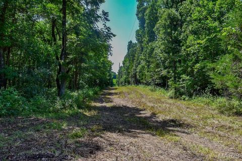 Tiny photo for 0 Truxton Church Rd, Other, MO 63381 (MLS # 25056366)