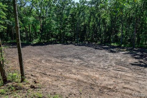 Tiny photo for 0 Truxton Church Rd, Other, MO 63381 (MLS # 25056366)