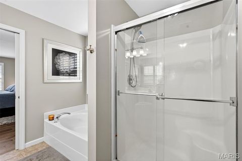 Tiny photo for 3605 Silverstone Trails Drive, Byrnes Mill, MO 63051 (MLS # 26019037)