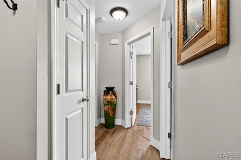 Tiny photo for 3605 Silverstone Trails Drive, Byrnes Mill, MO 63051 (MLS # 26019037)