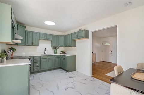 Tiny photo for 274 Dashwood Drive, Ferguson, MO 63135 (MLS # 25074618)