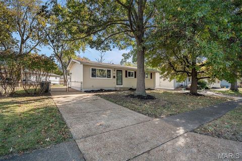 Photo of 274 Dashwood Drive, Ferguson, MO 63135 (MLS # 25074618)