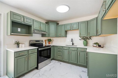 Tiny photo for 274 Dashwood Drive, Ferguson, MO 63135 (MLS # 25074618)