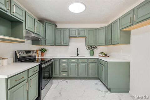 Tiny photo for 274 Dashwood Drive, Ferguson, MO 63135 (MLS # 25074618)