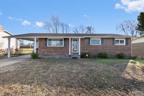 Photo of 917 Cambridge Drive, Sikeston, MO 63801 (MLS # 25081941)