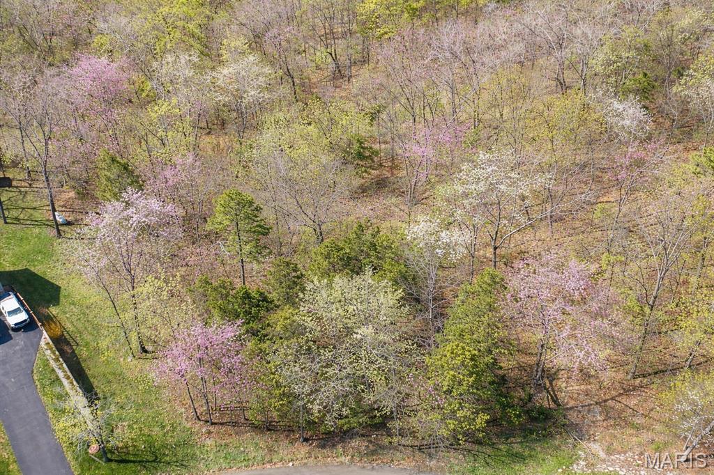 Lake Forest Estates - Land