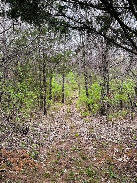 Tiny photo for 50 Hawkeye Drive, Hawk Point, MO 63349 (MLS # 26023919)