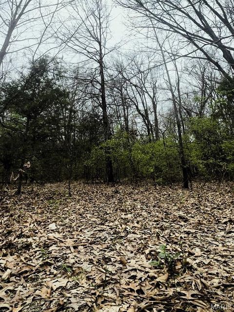 Tiny photo for 50 Hawkeye Drive, Hawk Point, MO 63349 (MLS # 26023919)