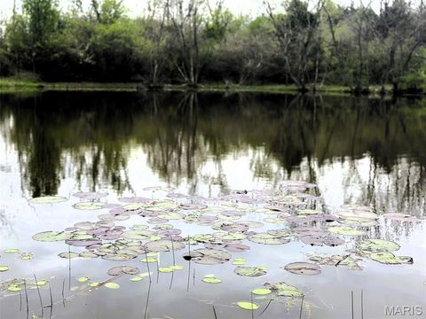 Tiny photo for 50 Hawkeye Drive, Hawk Point, MO 63349 (MLS # 26023919)
