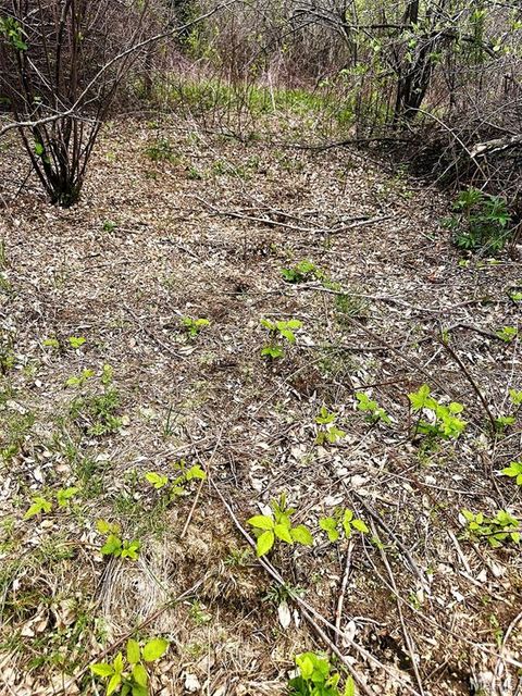 Tiny photo for 50 Hawkeye Drive, Hawk Point, MO 63349 (MLS # 26023919)