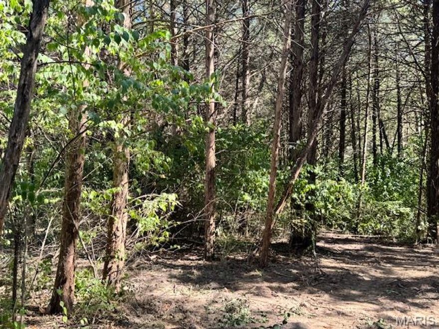 New Price!  Build your dream home on this stunning cul-de-sac lot offering the perfect blend of privacy, tranquility, and convenience. Tucked away in a quiet, peaceful setting surrounded by mature trees and natural beauty, this property provides a true sense of retreat — yet remains just minutes from top-rated schools, shopping, dining, and interstate access for an easy commute.
Enjoy all the benefits of modern living with high-speed fiber internet and full utilities already available — including public water, sewer, electricity, and natural gas. Asphalted roads ensure smooth, year-round access, while the cul-de-sac location means minimal traffic and enhanced privacy.
This exceptional lot is the ideal canvas for your forever home or a smart investment property — combining peaceful surroundings with unbeatable proximity to everything you need.
Don’t miss this rare opportunity — come experience the perfect setting for your next chapter!