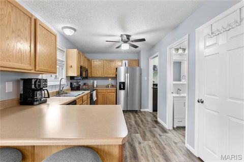 Tiny photo for 411 Carrollton Drive, Wentzville, MO 63385 (MLS # 26026201)
