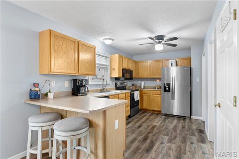 Tiny photo for 411 Carrollton Drive, Wentzville, MO 63385 (MLS # 26026201)