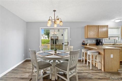 Tiny photo for 411 Carrollton Drive, Wentzville, MO 63385 (MLS # 26026201)