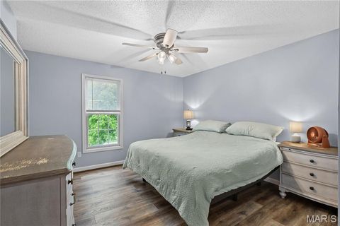 Tiny photo for 411 Carrollton Drive, Wentzville, MO 63385 (MLS # 26026201)