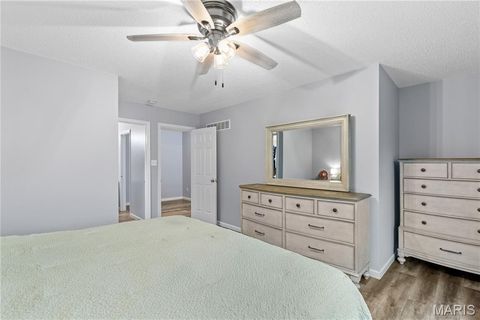 Tiny photo for 411 Carrollton Drive, Wentzville, MO 63385 (MLS # 26026201)