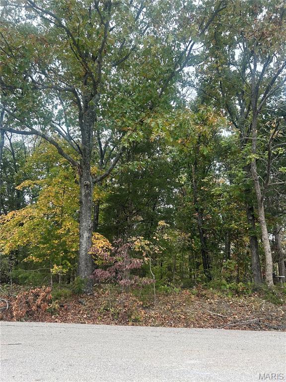 Hillsboro, Missouri 63050, United States, ,Land,Active,233289