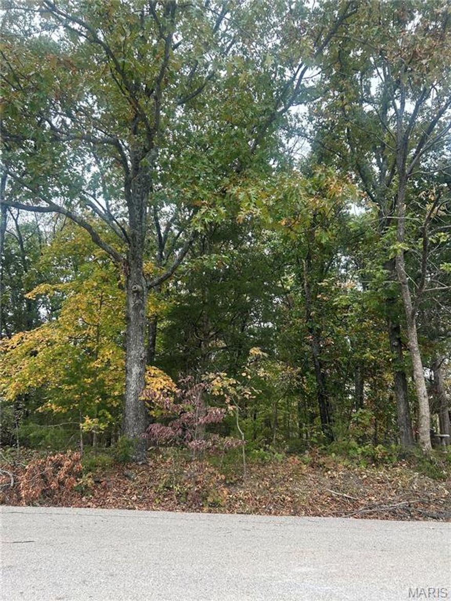 Discover luxury living with this prime vacant lot situated within the prestigious gates of Raintree Plantation. This exclusive property offers the perfect canvas for your dream home, complete with country club privileges, stunning lake views, and the freedom to bring your own builder. Country club dues grant you access to unlimited golf on the exquisite course and the community pool. A perfect blend of recreation and relaxation. Enjoy the natural beauty of Raintree's four lakes, one of which boasts a white, sandy beach, providing an exclusive and picturesque escape right within the community. The freedom to bring your own builder empowers you to turn your dream home into a reality.