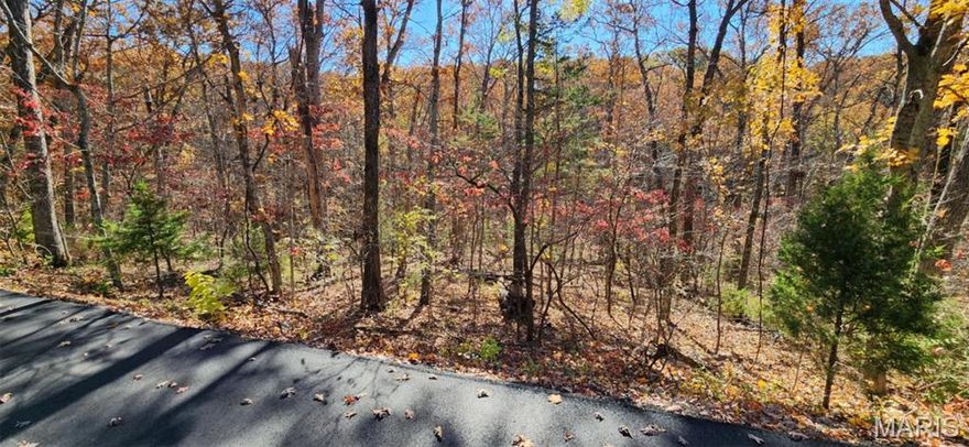 Looking for Nature and Lake Life check out the Desirable Lake Sherwood Estates Nestled in a 24-hour GATED lake community in Warren County, this property offers a fantastic opportunity. Not far from the campgrounds or Gabion Park on the MAIN LAKE Water, sewer, and electricity are available for hookup if you choose to build. Outstanding property for your dream home! As an owner of Lake Sherwood, you will enjoy and have access to a wealth of amenities, including six lakes ranging from 3 to 130 acres (with the main lake being motorized and the other five non-motorized). New club pool, campground facilities for overnight stays, a sandy beach area, and a marina offering year-round activities! Located within the Washington School District and just minutes from the charming downtown of Marthasville, you’ll also be close to the lovely towns of August, Foristell, New Melle, and Washington. Plus, it’s only a 35-minute drive to Chesterfield and minutes away from Missouri's finest wineries.