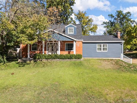 1001 Barberry Lane Kirkwood MO 63122