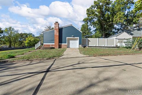 Tiny photo for 1001 Barberry Lane, Kirkwood, MO 63122 (MLS # 26007221)