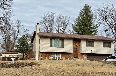 551 Oak Street Farmington MO 63640