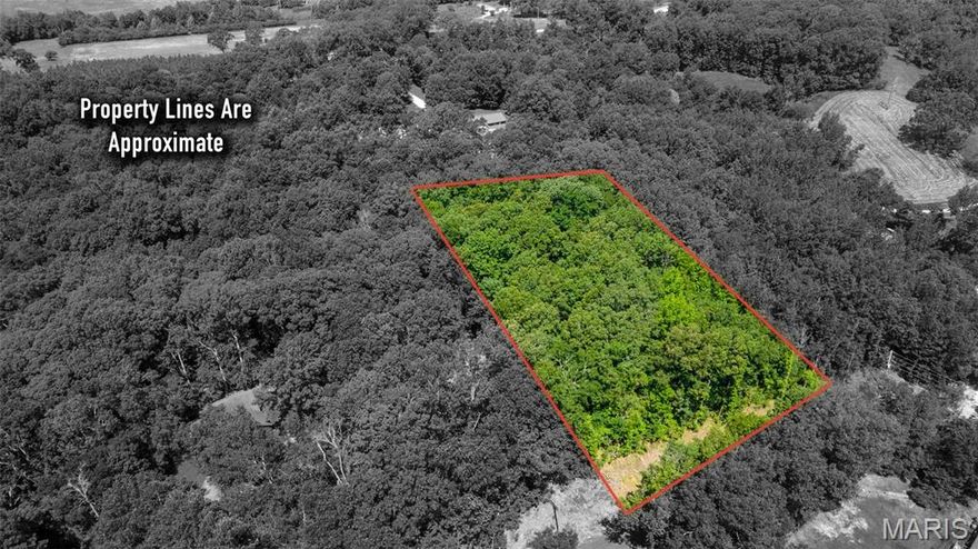 Welcome to Bella Vista! This lot is ready for you to build your dream home! With lake access this community is the perfect place to settle down.