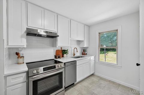 Tiny photo for 439 E Elliott Avenue, Kirkwood, MO 63122 (MLS # 26030495)