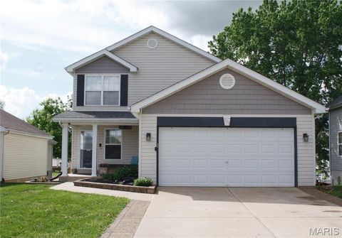 Photo of 159 Twin Falls Drive, Troy, MO 63379 (MLS # 26025314)