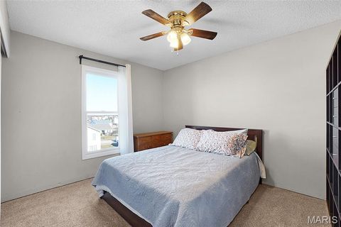 Tiny photo for 75 Lexie Court, Wentzville, MO 63385 (MLS # 25081527)