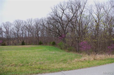 Tiny photo for 0 Quarry Road, Silex, MO 63377 (MLS # 25020542)