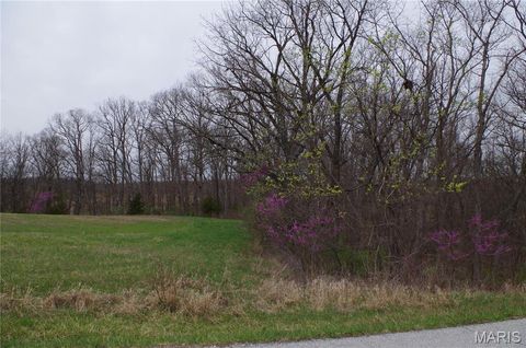 Tiny photo for 0 Quarry Road, Silex, MO 63377 (MLS # 25020542)