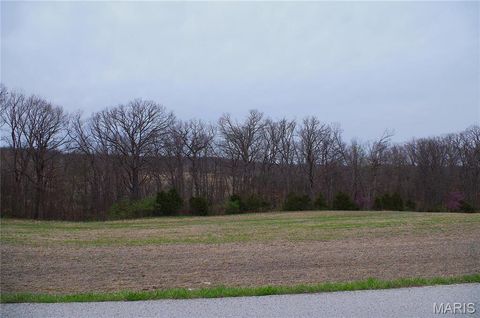 Tiny photo for 0 Quarry Road, Silex, MO 63377 (MLS # 25020542)