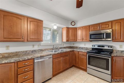 Tiny photo for 10556 Crecelius Drive, St Louis, MO 63123 (MLS # 26014449)