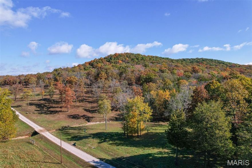 Discover 170+/- acres in Iron County, Missouri, offering the perfect blend of natural beauty, privacy, and recreation. Tucked along dead-end County Road 20A, this immaculately maintained property showcases a mix of mature hardwoods, scattered pine, cedar, as well as a creek meandering through the property. The entrance and manicured driveway create an inviting first impression, leading you to endless prime building sites—ideal for your dream home or family compound equipped with multiple homes. Surrounded by distant mountain ranges and bordering Mark Twain National Forest creating the opportunity to enjoy 1,000’s of additional acres for your enjoyment. Outdoor enthusiasts will appreciate the proximity to Taum Sauk Mountain, Johnson Shut-Ins, and the Mark Twain National Forest—renowned destinations for recreation and adventure. There are an additional 75+/- acres available on the opposite side of CR20A. Despite its secluded setting, the property offers convenient access: ~24 miles west of Farmington, ~18 miles south of Potosi, and ~75 miles south of St. Louis. If you’ve been seeking a pristine Missouri acreage with water, natural beauty, and unmatched versatility, this Iron County gem is one you won’t want to miss. Taxes ~$90.