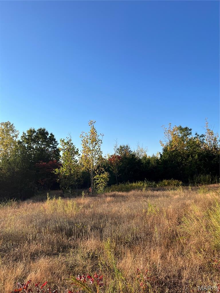Photo of 19 Lake Forest Farm Road, Richwoods, MO 63071 (MLS # 26066081)