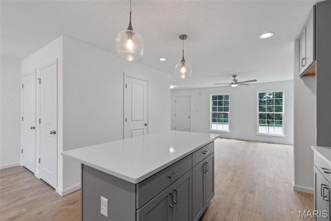 Tiny photo for 401 Sunset Hollow Drive, Wentzville, MO 63385 (MLS # 25069005)