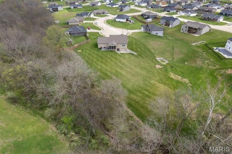 Tiny photo for 445 Jona Gold Court, Jackson, MO 63755 (MLS # 26017276)