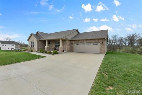 Tiny photo for 445 Jona Gold Court, Jackson, MO 63755 (MLS # 26017276)