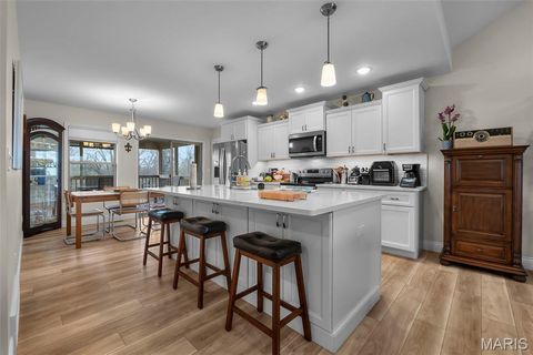 Tiny photo for 445 Jona Gold Court, Jackson, MO 63755 (MLS # 26017276)