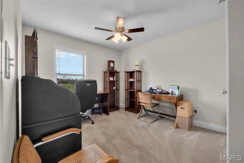 Tiny photo for 445 Jona Gold Court, Jackson, MO 63755 (MLS # 26017276)
